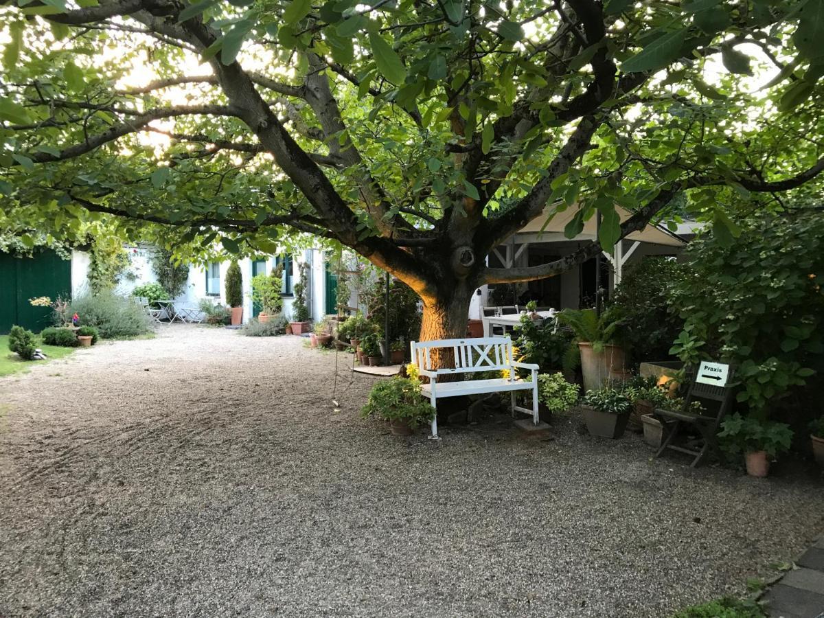 Ferien- Und Messewohnung In Meerbusch Buitenkant foto